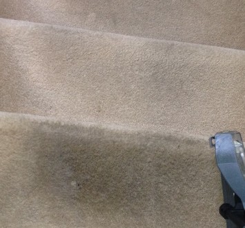carpet cleaning, as cleaning, ipswich, suffolk, ipswich carpet cleaning