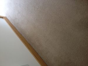 1 bedroom flat full end of tenancy clean for Essex University including oven and carpet cleaning throughout the whole property.